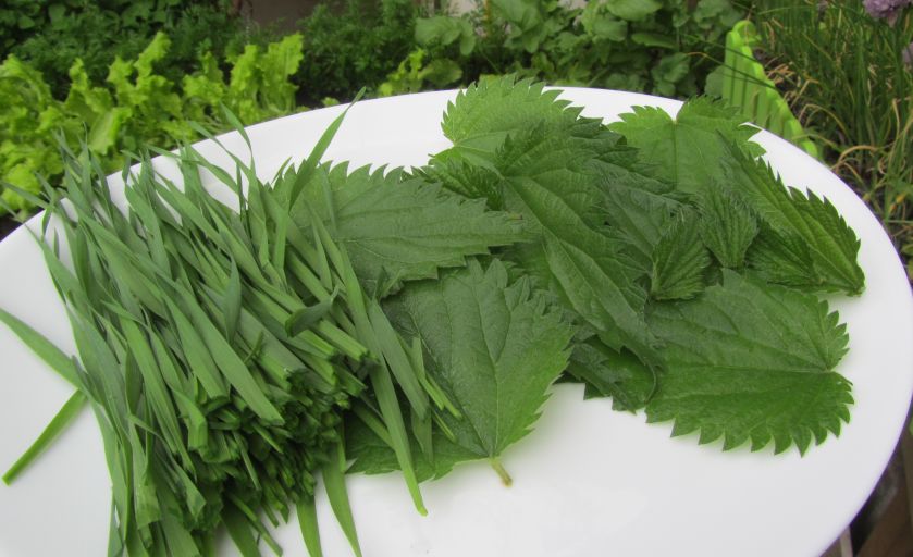 Natürliches Chlorophyll als Farbstoff für Lebensmittel ist sehr gesund es kann aber auch bedenkliche Chemikalien enthalten und somit schädlich für die Gesundheit sein E 141